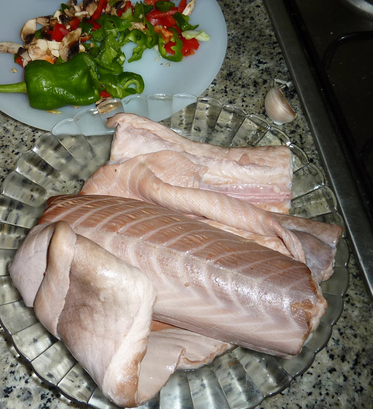 Shark meat Somniosus rostratus